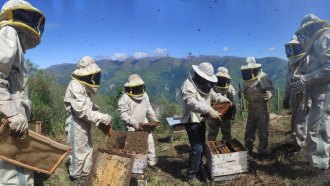 Eight individuals wearing beekeepers suit are surrounding two bee-hive boxes as they stand against a mountainous background. One of the people are holding a bee hive frame covered in bees, and everyone else seem to be paying attention to the frame.