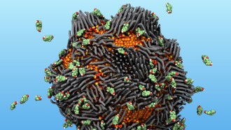 An illustration of a clump of iron oxide nanoparticles, illustrated in orange, coated with phosphonic acid, illustrated in gray. While a collection of green estrogen bits are scattered around.