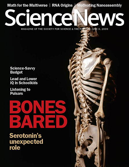 Bones Bared: Serotonin's Unexpected Role