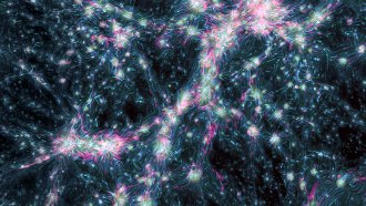 A simulation of the cosmic web